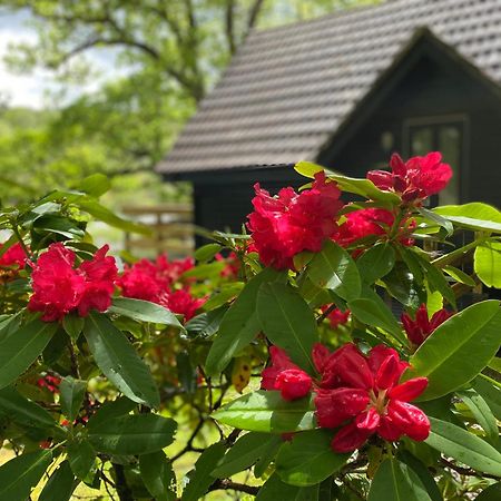 Burnbank Lodges Spean Bridge Exteriér fotografie