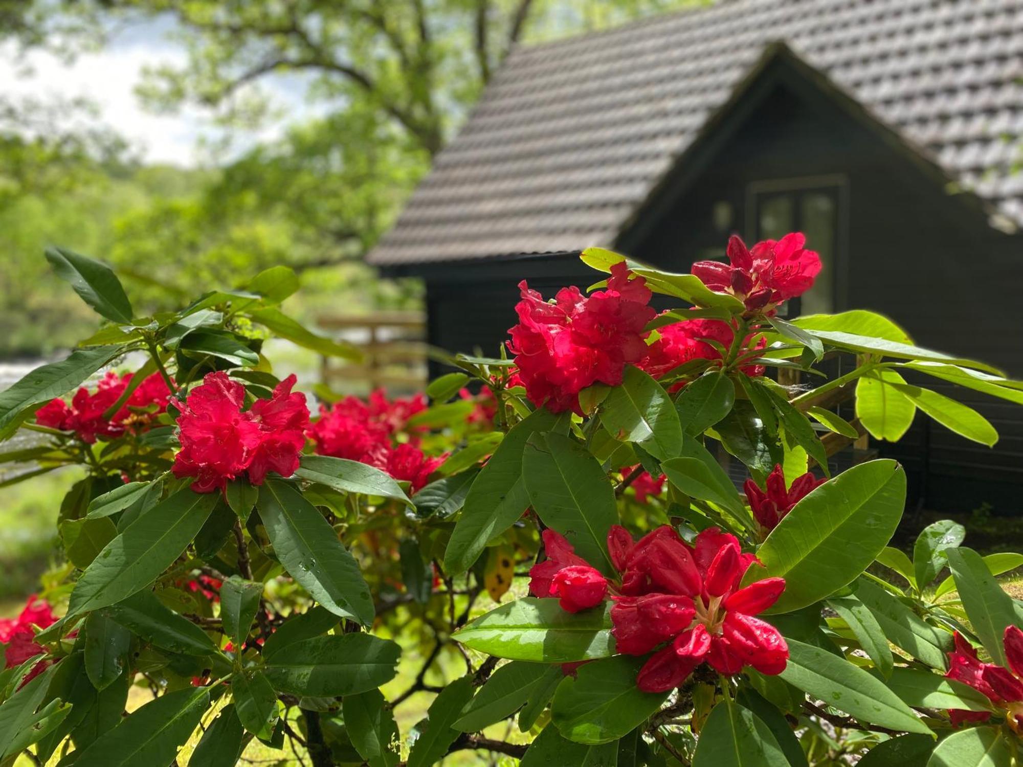 Burnbank Lodges Spean Bridge Exteriér fotografie