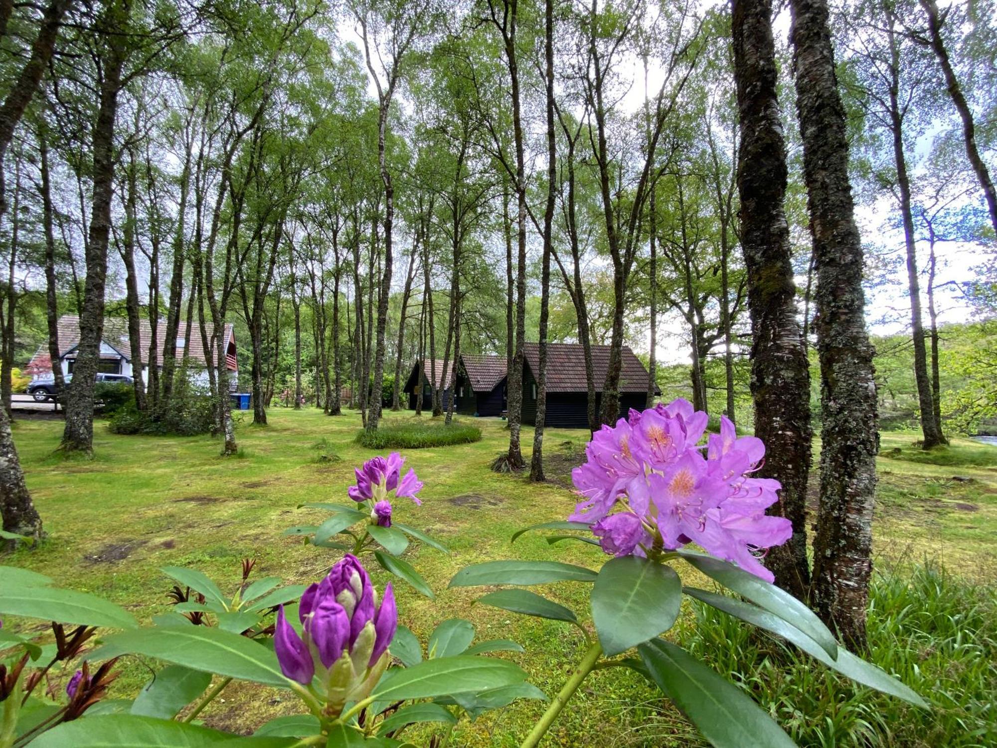 Burnbank Lodges Spean Bridge Exteriér fotografie