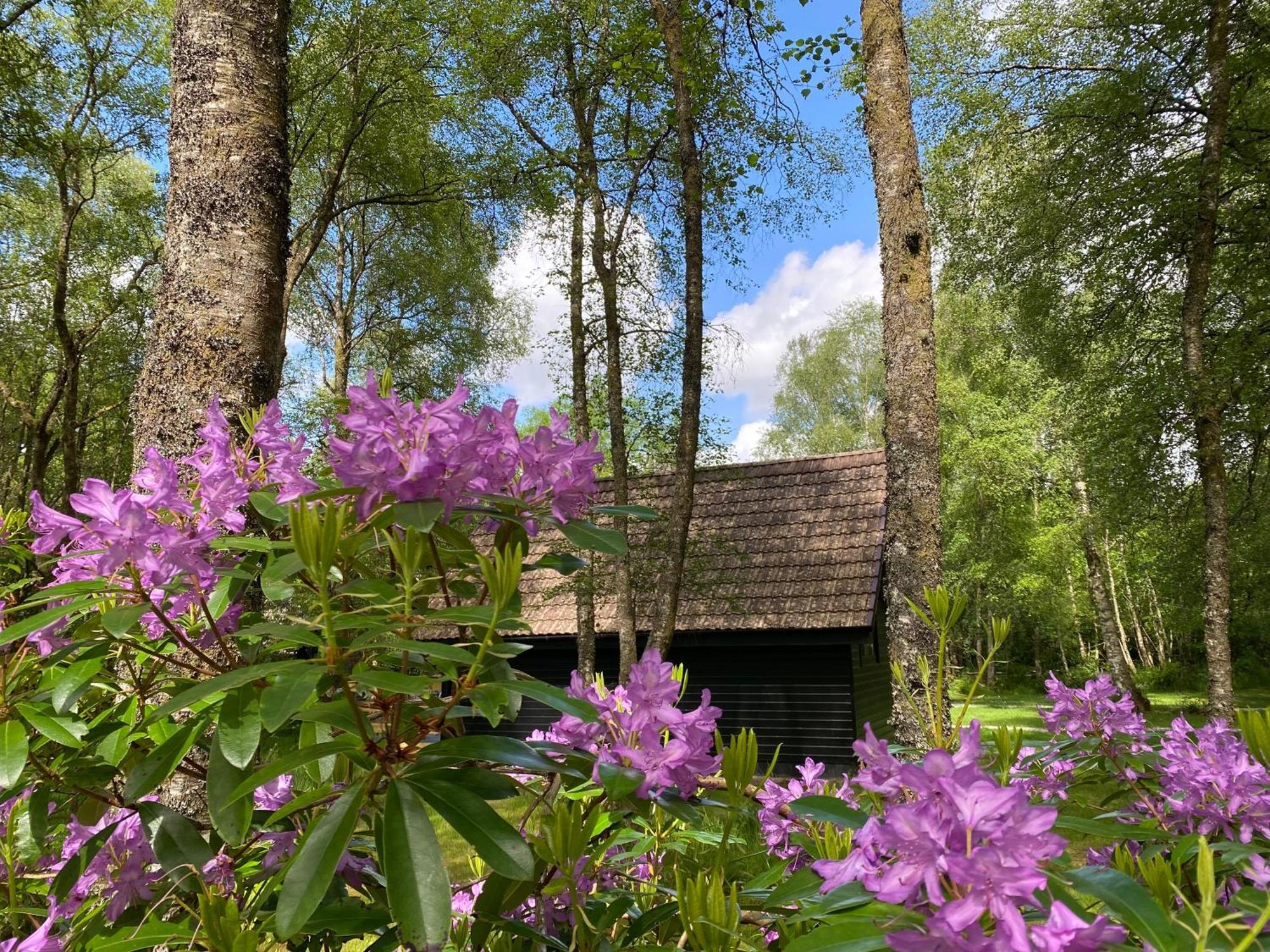 Burnbank Lodges Spean Bridge Exteriér fotografie